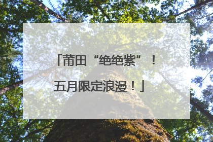 莆田“绝绝紫”！五月限定浪漫！