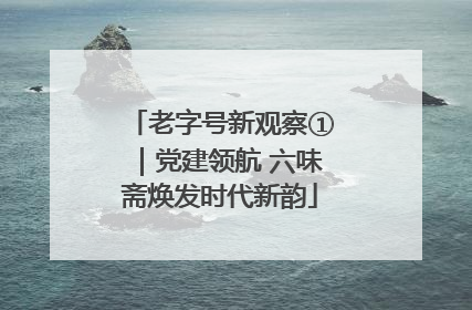 老字号新观察①｜党建领航 六味斋焕发时代新韵