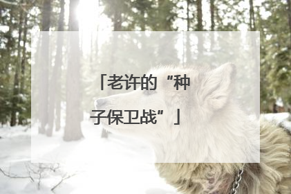 老许的“种子保卫战”