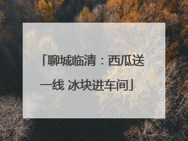 聊城临清：西瓜送一线 冰块进车间