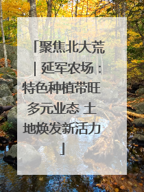 聚焦北大荒｜延军农场：特色种植带旺多元业态 土地焕发新活力