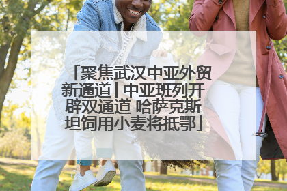 聚焦武汉中亚外贸新通道│中亚班列开辟双通道 哈萨克斯坦饲用小麦将抵鄂