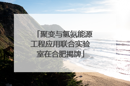 聚变与氢氨能源工程应用联合实验室在合肥揭牌