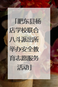 肥东县杨店学校联合八斗派出所举办安全教育志愿服务活动