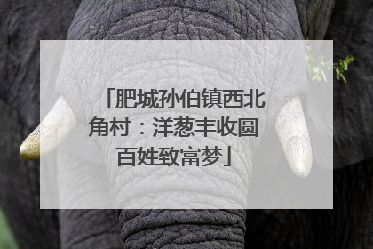 肥城孙伯镇西北角村：洋葱丰收圆百姓致富梦