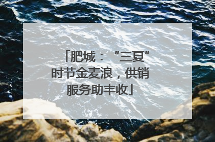 肥城：“三夏”时节金麦浪，供销服务助丰收