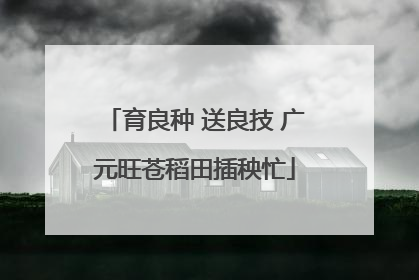 育良种 送良技 广元旺苍稻田插秧忙