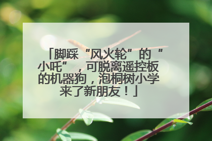 脚踩“风火轮”的“小吒”，可脱离遥控板的机器狗，泡桐树小学来了新朋友！