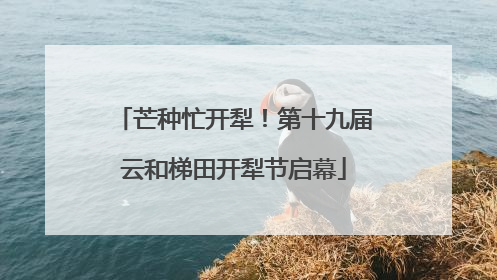 芒种忙开犁！第十九届云和梯田开犁节启幕