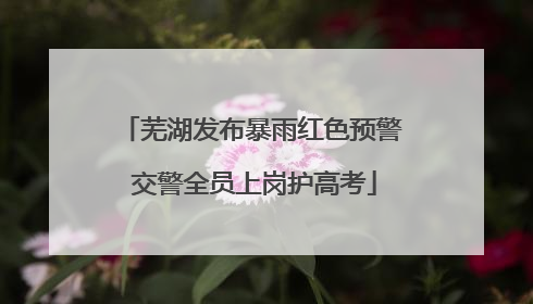 芜湖发布暴雨红色预警 交警全员上岗护高考