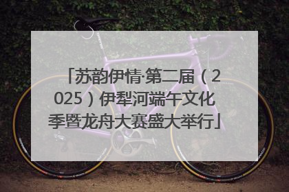 苏韵伊情·第二届（2025）伊犁河端午文化季暨龙舟大赛盛大举行