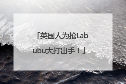 英国人为抢Labubu大打出手！