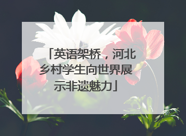 英语架桥，河北乡村学生向世界展示非遗魅力