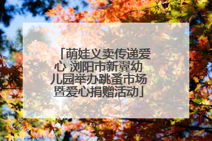 萌娃义卖传递爱心 浏阳市新翼幼儿园举办跳蚤市场暨爱心捐赠活动