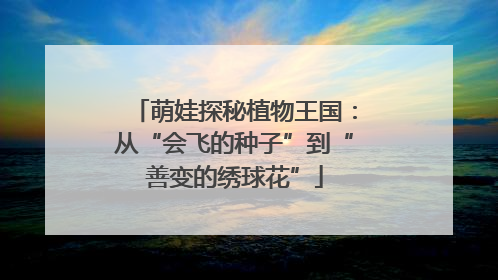 萌娃探秘植物王国：从“会飞的种子”到“善变的绣球花”