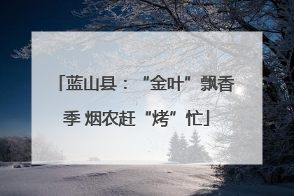 蓝山县：“金叶”飘香季 烟农赶“烤”忙