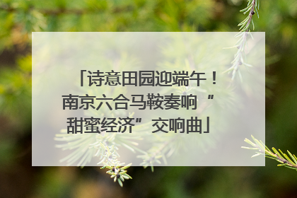 诗意田园迎端午！南京六合马鞍奏响“甜蜜经济”交响曲