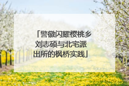 警徽闪耀樱桃乡 刘志硕与北宅派出所的枫桥实践