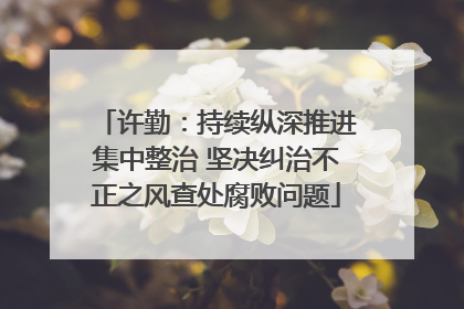许勤：持续纵深推进集中整治 坚决纠治不正之风查处腐败问题