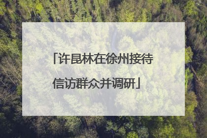 许昆林在徐州接待信访群众并调研
