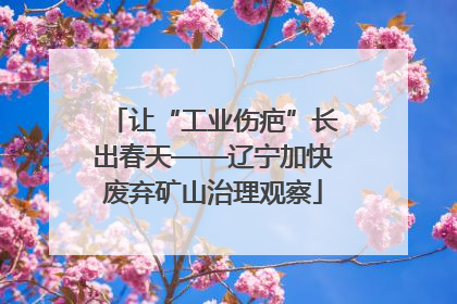 让“工业伤疤”长出春天——辽宁加快废弃矿山治理观察