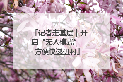 记者走基层｜开启“无人模式” 方便快递进村