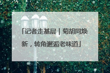 记者走基层｜菊胡同焕新，转角邂逅老味道
