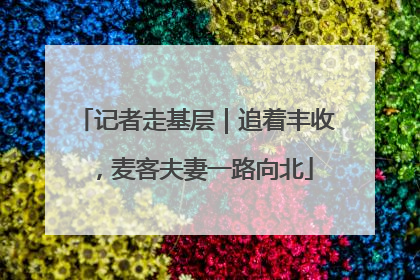 记者走基层｜追着丰收，麦客夫妻一路向北