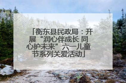 衡东县民政局：开展“润心伴成长 同心护未来”六一儿童节系列关爱活动