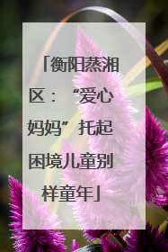 衡阳蒸湘区：“爱心妈妈”托起困境儿童别样童年