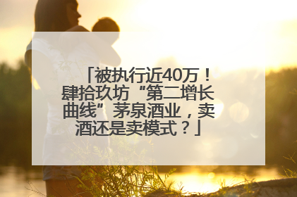 被执行近40万！肆拾玖坊“第二增长曲线”茅泉酒业，卖酒还是卖模式？