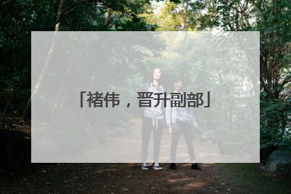 褚伟，晋升副部