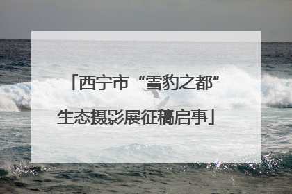 西宁市“雪豹之都”生态摄影展征稿启事
