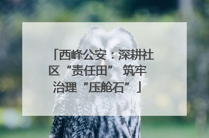 西峰公安：深耕社区“责任田” 筑牢治理“压舱石”