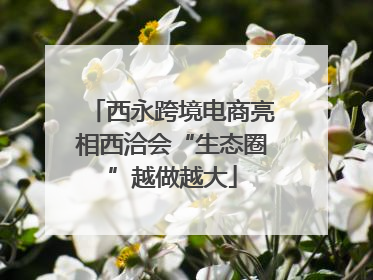 西永跨境电商亮相西洽会“生态圈”越做越大