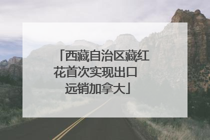 西藏自治区藏红花首次实现出口 远销加拿大