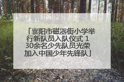 襄阳市磁器街小学举行新队员入队仪式 130余名少先队员光荣加入中国少年先锋队