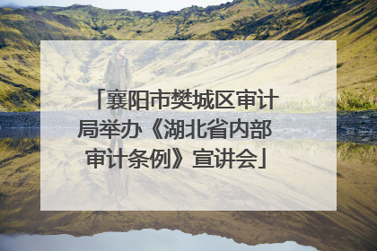 襄阳市樊城区审计局举办《湖北省内部审计条例》宣讲会