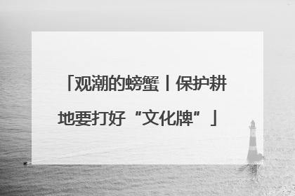 观潮的螃蟹丨保护耕地要打好“文化牌”