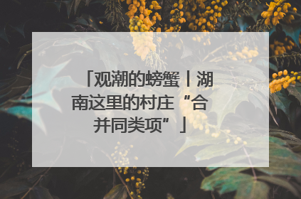 观潮的螃蟹丨湖南这里的村庄“合并同类项”
