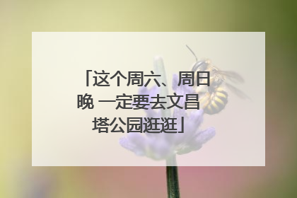 这个周六、周日晚 一定要去文昌塔公园逛逛