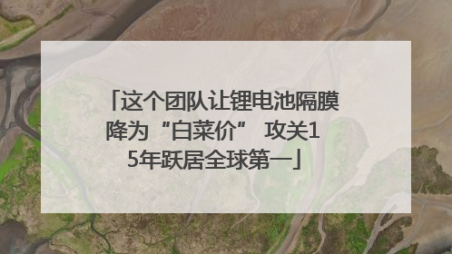 这个团队让锂电池隔膜降为“白菜价” 攻关15年跃居全球第一