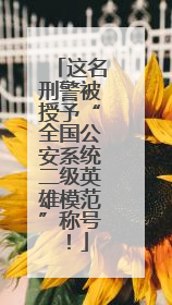 这名刑警被授予“全国公安系统二级英雄模范”称号！