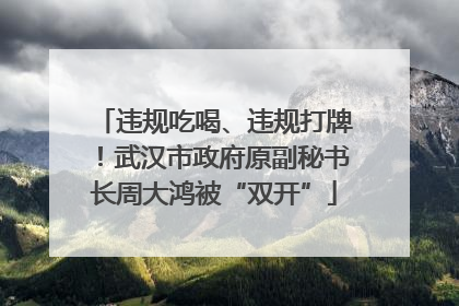违规吃喝、违规打牌！武汉市政府原副秘书长周大鸿被“双开”