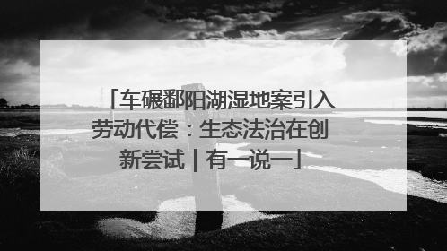 车碾鄱阳湖湿地案引入劳动代偿：生态法治在创新尝试｜有一说一