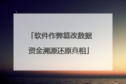软件作弊篡改数据 资金溯源还原真相