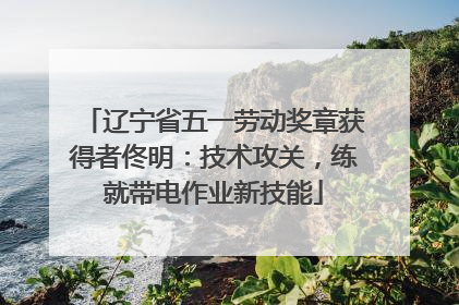 辽宁省五一劳动奖章获得者佟明：技术攻关，练就带电作业新技能