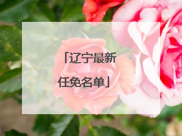 辽宁最新任免名单