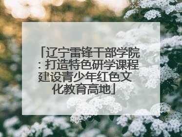 辽宁雷锋干部学院：打造特色研学课程 建设青少年红色文化教育高地