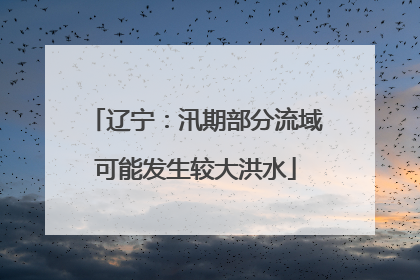 辽宁：汛期部分流域可能发生较大洪水